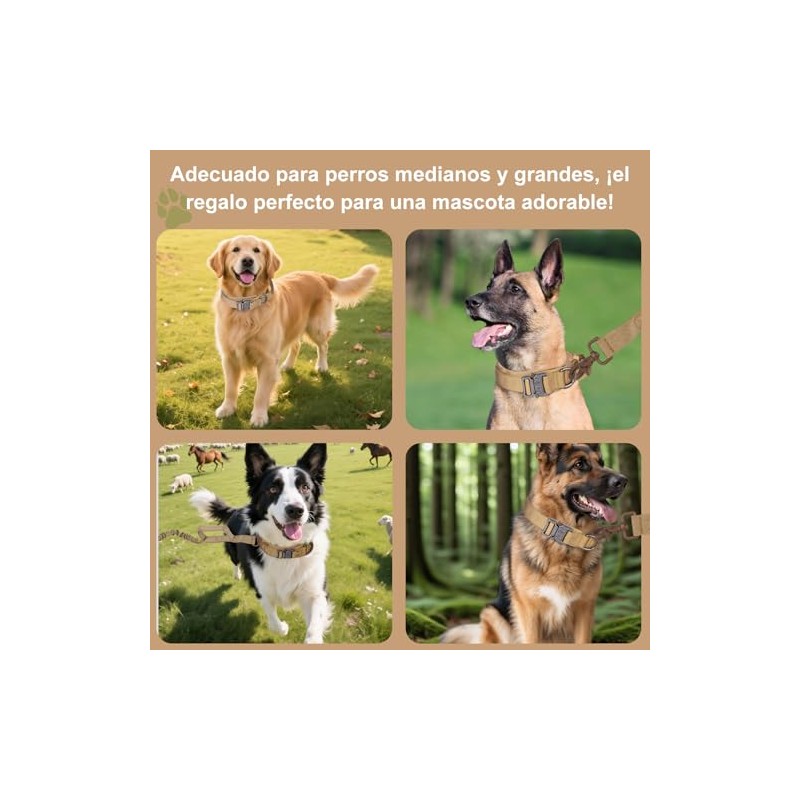 Collar para Perro Táctico Resistente y Ajustable con Correa Táctica