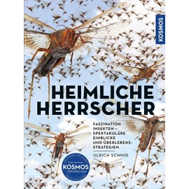 Insekten - Heimliche Herrscher: FASZINATION INSEKTEN –SPEKTAKULÄRE EINBLICKE UND ÜBERLEBENSSTRATEGIEN