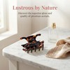 Butterfly Claw Clips for Women, 4 Pack Acetate Medium Claw