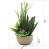 allgala Small Desktop Artificial Combination Succulent Plant Group with Natural
