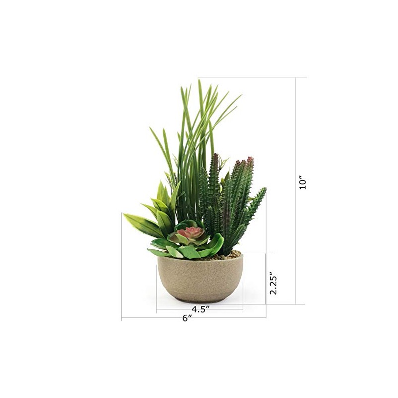 allgala Small Desktop Artificial Combination Succulent Plant Group with Natural