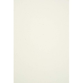 Netuno 10 x Ecru Eco Paper DIN A4 210 x 297 mm 130 g Flora Anice Eco Writing Paper Recycled Designer Paper Ecologically Recycled Paper Natural Paper High Quality for Invitations Cards Wedding Cards