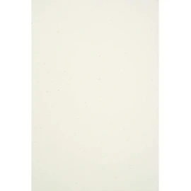 Netuno 10 x Ecru Eco Paper DIN A4 210 x 297 mm 130 g Flora Anice Eco Writing Paper Recycled Designer Paper Ecologically Recycled Paper Natural Paper High Quality for Invitations Cards Wedding Cards