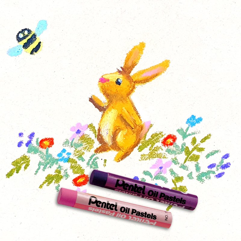 Pentel Arts PHN-50U Pack of 50 Oil Cakes, Multi-Colour