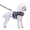 Small Dog Harness and Leash Set Small Pet Harness, Adjustable
