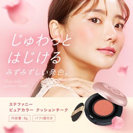 pure color cushion cheek