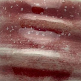 Penguin Pottery - Celadon Series - Burgundy Gloss - Mid Fire Glaze, High Fire Glaze, Cone 5-6 for Mid Fire Clay, High Fire Clay - Ceramic Glaze Pottery (1 Pint | 16 oz | 473 ml)