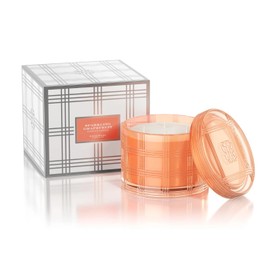 HomeWorx by Slatkin & Co 4-Wick Sparkling Grapefruit Specialty Candle with Gift Box Notes of Grapefruit, Fresh Lemon, Thyme Sprigs, Vanilla Sugar