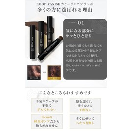 Kazumi KIWABI Hair Hiding Stick Type, Dark Brown, Set of 2, Partial Dye, Gray Hair Dye