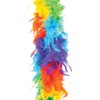 Rhode Island Novelty 6 Foot 60g Rainbow Feather Boa, One
