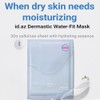 ID Placosmetics [ID Placosmetics]Dermastic Water Fit Mask (5ea)
