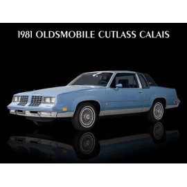 1981 Oldsmobile Cutlass Calais NEW Metal Sign: 9x12" Ships Free