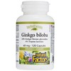 GINKGO BILOBA