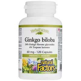 GINKGO BILOBA