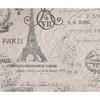 CafePress Vintage Paris Eiffel Tower Scripts Throw Blanket Super Soft