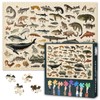 Puzzles Games - Animal World - Groups Reptiles, Amphibians, Mammals,