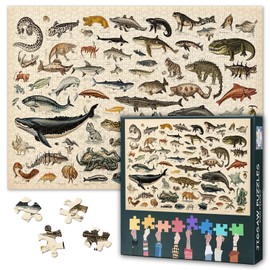 Puzzles Games - Animal World - Groups Reptiles, Amphibians, Mammals, and Birds - 1000 Piece Jigsaw Puzzle For Adults -Challenging Puzzle for Game Nights - Finished Size is 27.5" x 19.6"/70 * 50cm