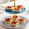 Alrhso 100 Pack Disposable Ramekins Egg Tart Baking Cups 2.8