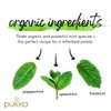 Pukka Organic Tea Bags, Three Mint Herbal Tea, Perfect for