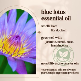 Avivni Blue Lotus Essential Oil - 100% Pure & Natural, Organic, Undiluted for Aromatherapy, Hair, Skin, Diffuser (0.33oz - 10ml)