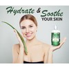 475ml (16oz) ORGANIC Aloe Vera, Vegan + Soothing Moisturizer, 99%
