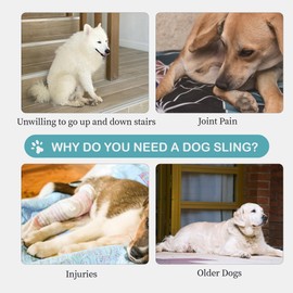 Dog Lift Harness for Extra Large Dogs – Hind Leg Support with Chest Stabilizer Straps, Adjustable Elastic and Buckles, Helps with Hip Dysplasia, Joint Pain, and Mobility, Easy to Wear, XL