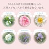 サラ まっすぐアイロン用エッセンス