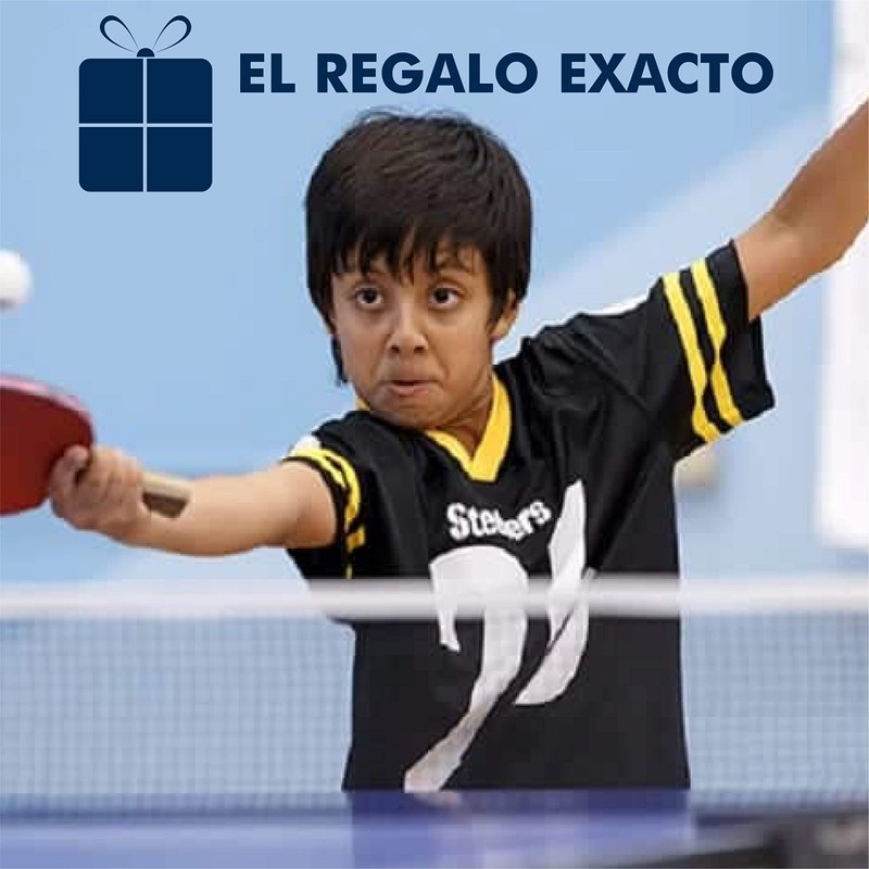 CHIC-FANTASY Juego de Ping Pong Todo en uno, Incluye Red