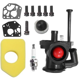 ANBOO For Briggs and Stratton Carburetor Briggs and Stratton Service Kit Carburetor Kit for BS 795477 795469 794147 699660 794161 498811 Lawnmower with Air Filter 698369