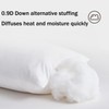 Gooeb Flat Bed Pillows Queen Size Set of 2 Soft