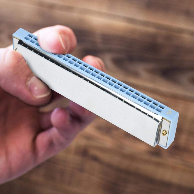 24 Hole Professional Mouse Organ, Diatonic Harp, Loud Sound C