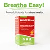 Redd Remedies Redd Remedies, Adult Sinus Support, Respiratory and Immune
