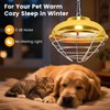 Roodike Hanging Chicken Coop Heater, 300W 2 Heating Levels Premium