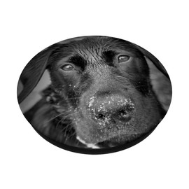 CJ Grips Labrador Retriever PopGrip - Black PopSocket Expandable Phone Grip Stand - Compatible with Most Cell Phones (Except Wireless Charging)