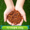 마가목 열매 200g 붉은빛 건조 약초 건강차 작은사과모양 수입산 200g