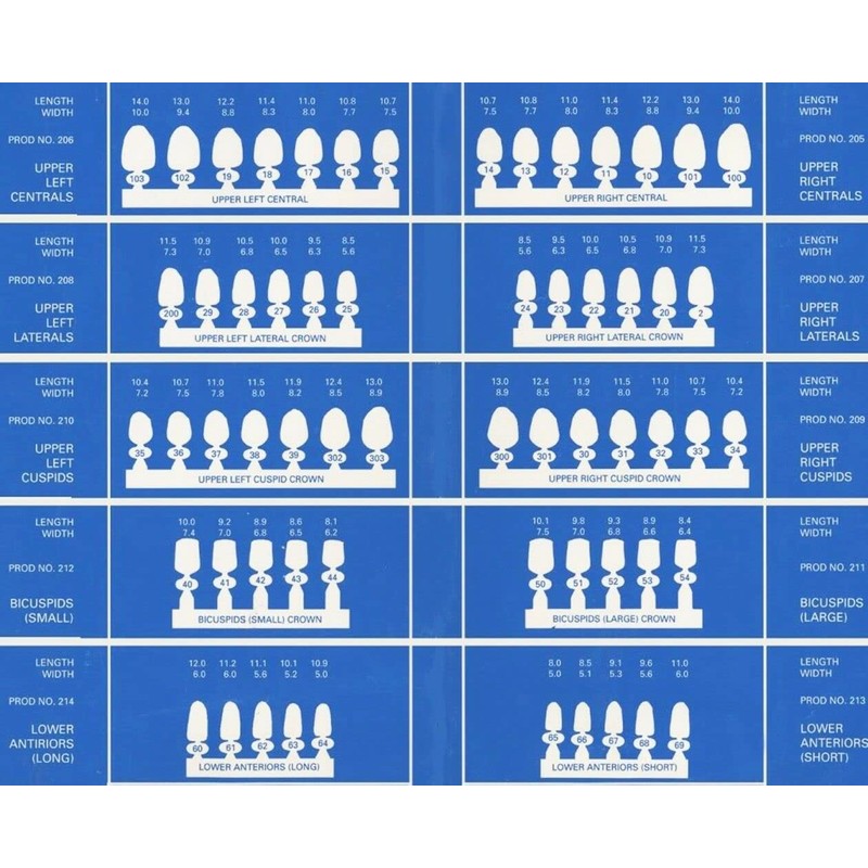 Dental Polycarbonate Temporary Crowns Refills (40)