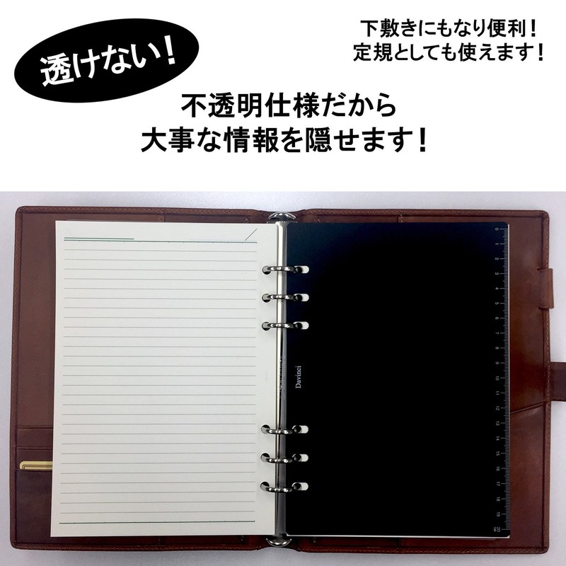 Raymay Fujii Da Vinci Memo Refills A5