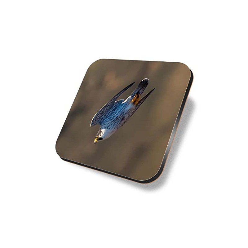 1 x Square Coaster - Peregrine Falcon Bird Dive Cork