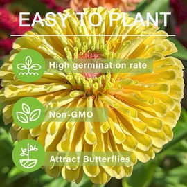 50+Zinnia Flower Seeds for Planting Outdoor-Zinnia Flower Seeds Plant for Container Garden, Cut Flower Garden Drought Tolerant