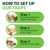 Greenway Silverfish and Spider Traps, Non-Toxic Indoor with High-Strength Glue