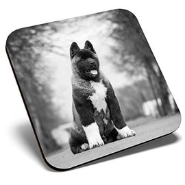 Great Single Coaster Square BW - Large American Akita Puppy Dog |Glossy Quality Coasters | Tabletop Protection for Any Table Type #36628