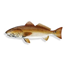 Red Fish Sticker Redfish Cup Car Window Truck Boat Laptop Vinyl Die Cut Decal