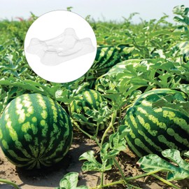 M METERXITY 100 Pack Melon Cradle for Garden,5.9 Inch Plastic Watermelon Stand,Keep Watermelon Off of The Ground and Getting Moldy,Apply To Support Protector for Fruits,Holds up to 5.5-11 Lbs