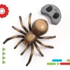 Discovery RC Tarantula Spider Remote Control Toy with Glowing Eyes