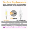 Lamsky E14 LED Bulb European Base 4W LED Chandelier Light