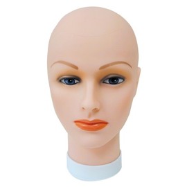 Celebrity Cosmetology Bald Head for Wigs