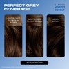 Clairol Lasting Colour Permanent Hair Dye | Perfect Grey Coverage