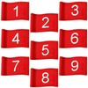 Riakrum 9 Pcs mini golf flags for yard 8.9 x