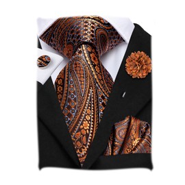 Hi-Tie Mens Silk Ties Lapel Pin Handkerchief Cufflinks Set Striped/Paisley/Floral Necktie Sets Wedding Business Party,Orange Paisley