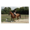 Men's gooseneck spurs 40 mm spurs with gooseneck
